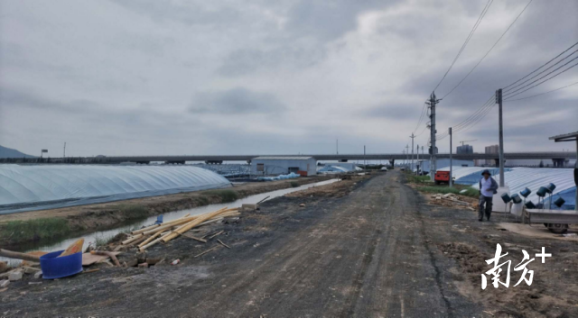 南方农村报 李嘉镓 制图