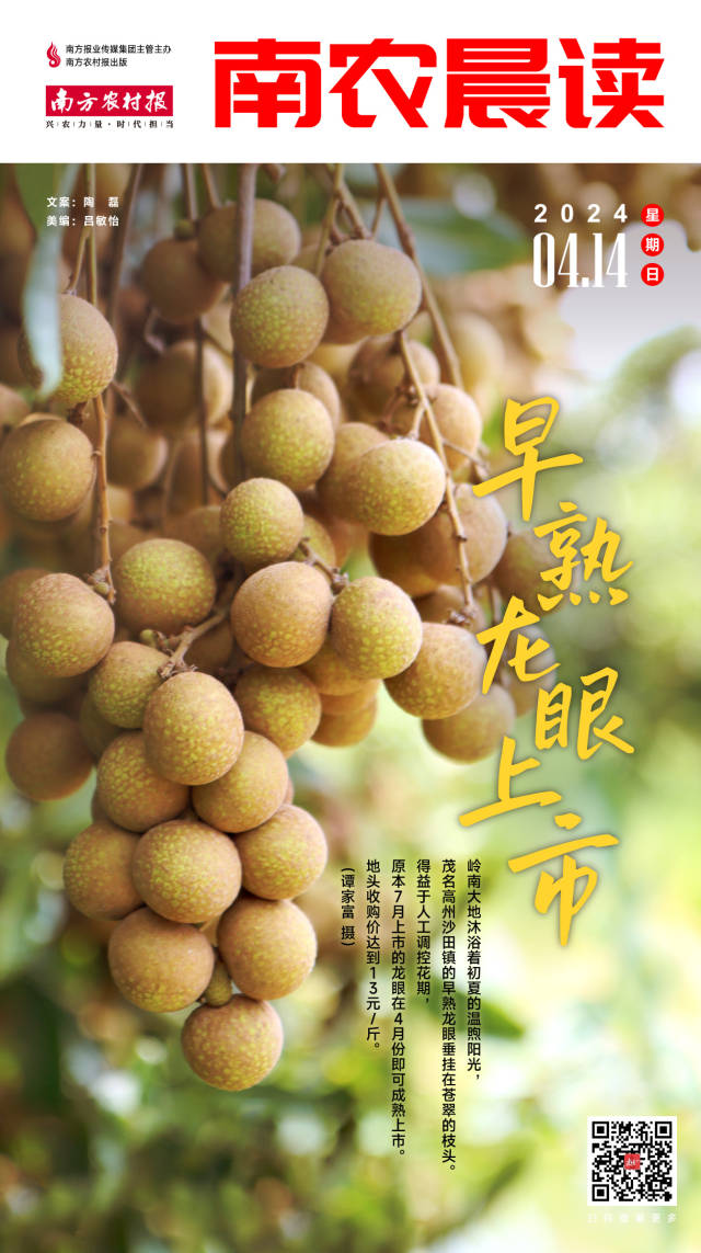 南方农村报 李嘉镓 制图