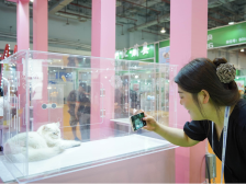 食预·讯｜猫咪也来参加“双博会”了？宠物食品展快来逛