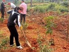 曲江区乌石镇：聚焦“四小园” 打造乡村绿美风景线