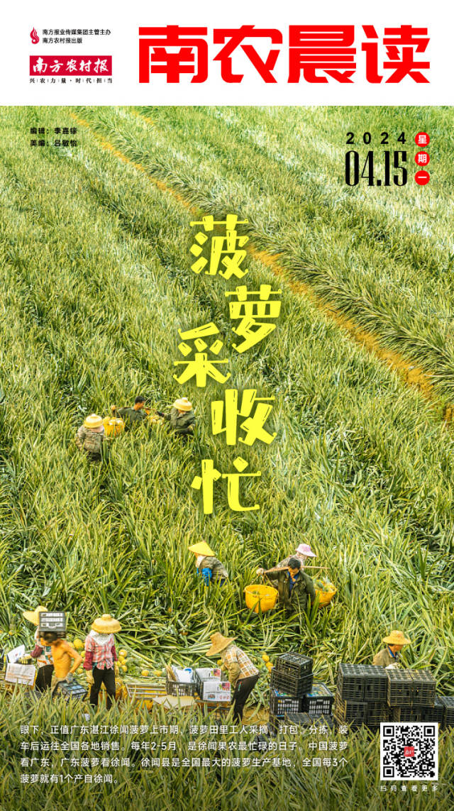 百亿水利工程——华阳河蓄滞洪区工程建设持续推进 宿松新闻网
