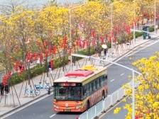 便捷往返广交会展馆！这些线路可达市中心、南站、东站