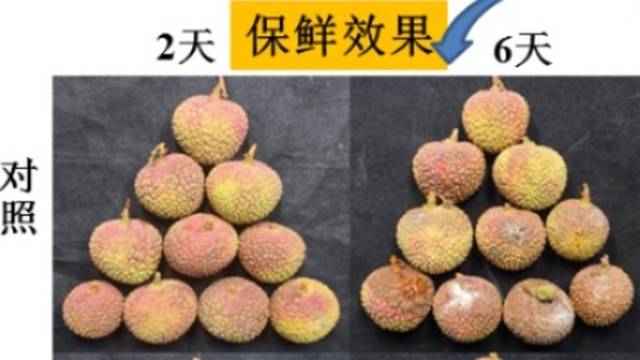 构建荔枝全链条保鲜技术体系，实现荔枝错季销售