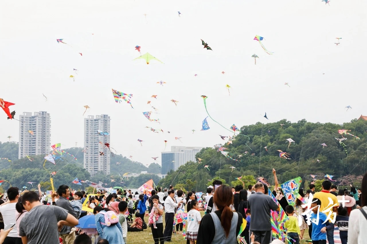 在阳江市区鸳鸯湖公园国际风筝竞技场放风筝的人数不胜数。