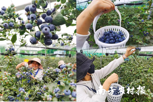 中国消费者协会发布春节消费提示:四大低价套路专坑消费者