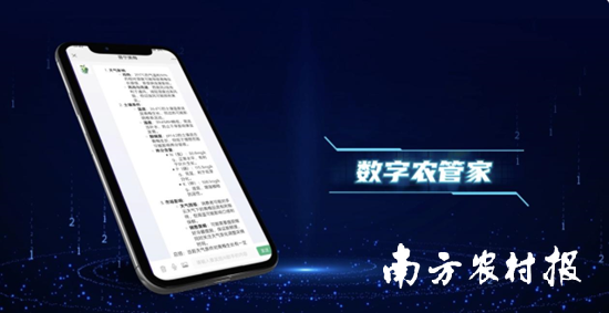 “普宁美梅”青梅AI产品。