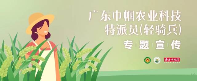 郑兰芳：女农机手30年耕耘，见证中国农业机械之变