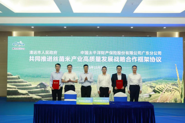 2023年10月30日,，清遠(yuǎn)市舉行推進(jìn)農(nóng)業(yè)高質(zhì)量發(fā)展戰(zhàn)略合作簽約儀式,，清遠(yuǎn)市人民政府與中國(guó)太平洋財(cái)產(chǎn)保險(xiǎn)股份有限公司廣東分公司簽訂《共同推進(jìn)絲苗米產(chǎn)業(yè)高質(zhì)量發(fā)展戰(zhàn)略合作框架協(xié)議》,。