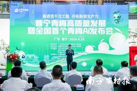 普宁青梅高质量发展暨全国首个青梅AI发布会现场。
