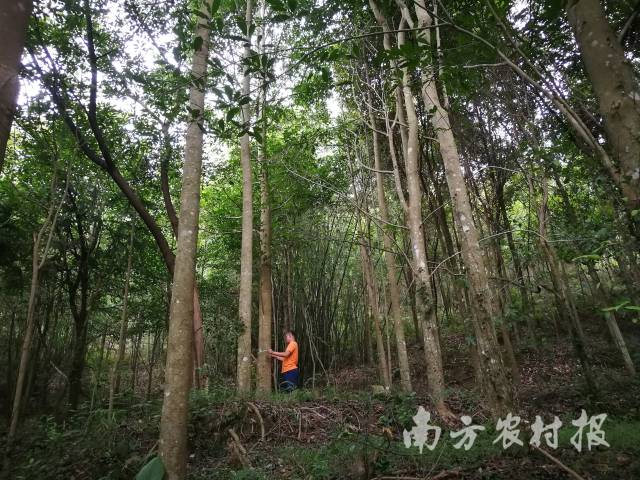 宿松县工商联开展企业走访活动 宿松新闻网