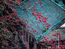 “老干部风”的国宾馆，凭什么吸引年轻人？｜探究“广式服务”