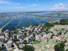 树仔镇旦海村：和美乡村有“里”有“面”｜茂名典型村一线行⑪