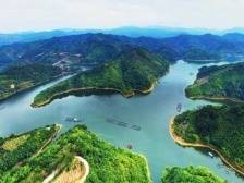 春夏之交，总该来郁南听一场黄皮音乐会