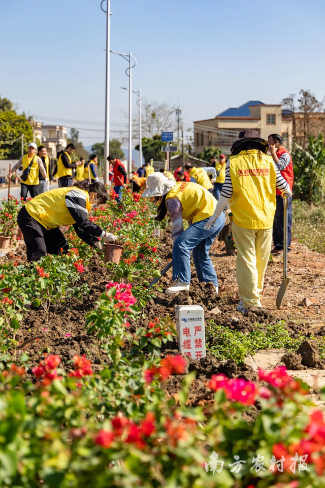 群众积极参与珠海市斗门区植树活动 群众积极参与珠海市斗门区植树活动