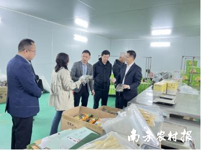 专家团队赴广东思茶科技发展有限公司进行考察指导。抖音、五大百亿农业产业助力清远高质量发展的宏伟图景。
