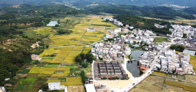 蜀山手游百蛮门派强度全面解析特色揭秘与高效玩法实战技巧推荐