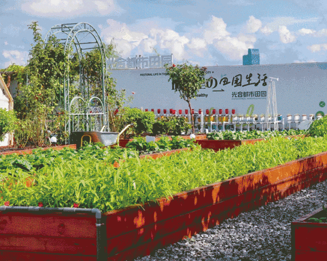 赴一场春日田园之约！种苗节集市将在杭州启动