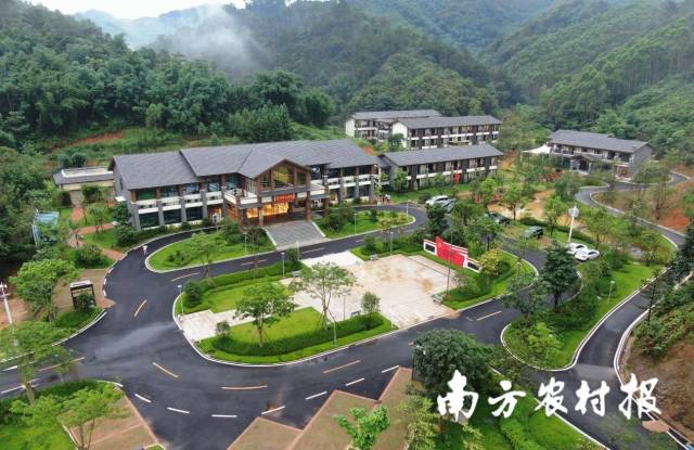 碧桂园乡村振兴学院。