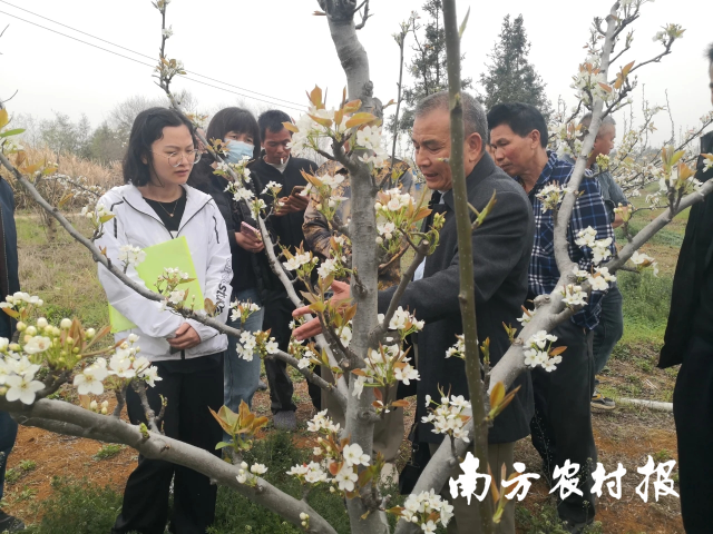 专家团队到连州进行水晶梨种植技术指导。展月包括中国工程院院士、日场<strong>http://www.abcgw.net/gl/920.html</strong>推动农业产业高质量发展提供交流合作平台。​聚焦乡将清