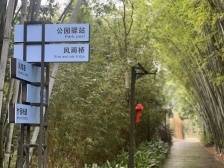 玉都街道旺同村：业态多元共生，激发乡村振兴新活力｜茂名典型村一线行⑫