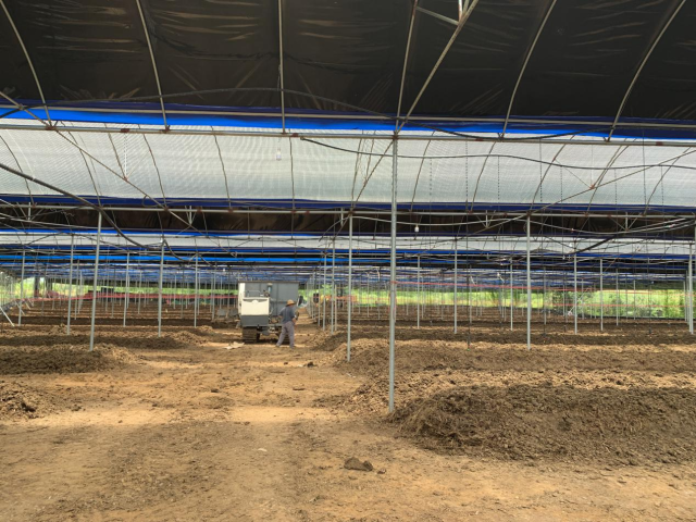 民圓辟謠：新版3DS仍然鎖區！