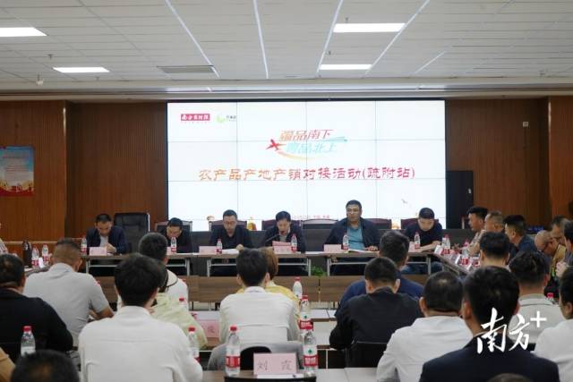 活动座谈会环节