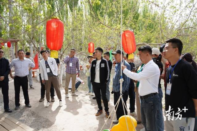 采购商们“打卡”疏附农产品原产地