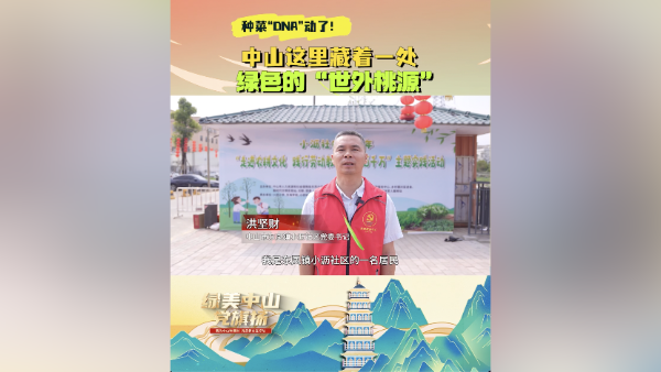 中山这里藏着一处绿色的“世外桃源”！种菜“DNA”动了！