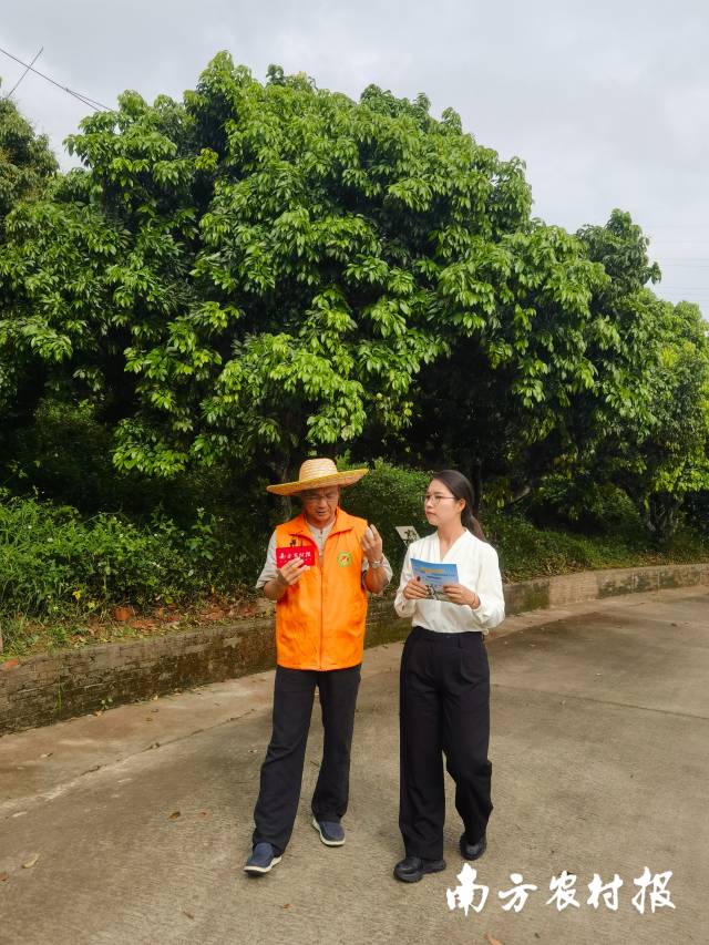陈浩潮在直播中分享荔枝树与基岗村振兴的故事