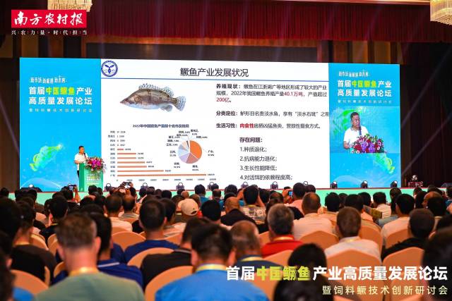 勇者传说暗黑觉醒破晓之战宿命终章启示录