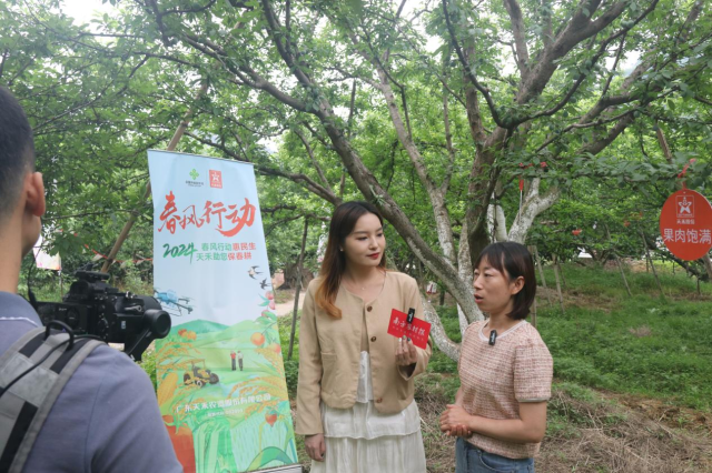 广东省农业科学院果树所副研究员常晓晓（右一）