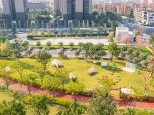 大沥破局⑧｜绿美之城，如何建成？