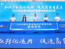 专家热议东莞建设国家级知识产权保护中心｜东莞4·26④