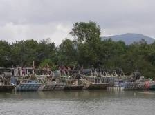 橙色预警！21日上午台山川山群岛高速客船、车渡船停航