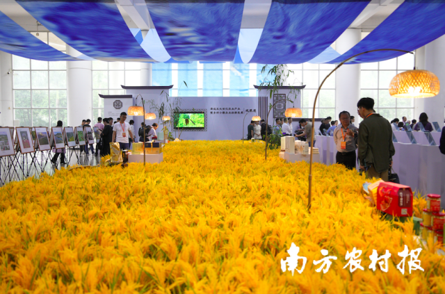 清远五大百亿农业产业暨乡村小微企业创新发展成果展。