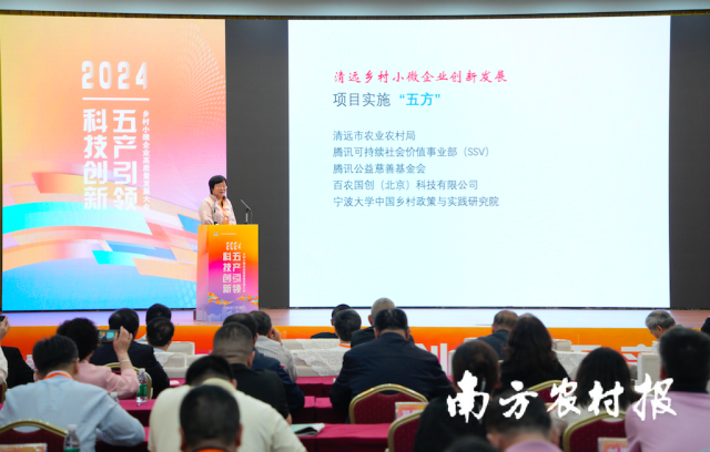 清远乡村小微企业专家工作团团长、宁波大学中国乡村政策与实践研究院院长刘艳