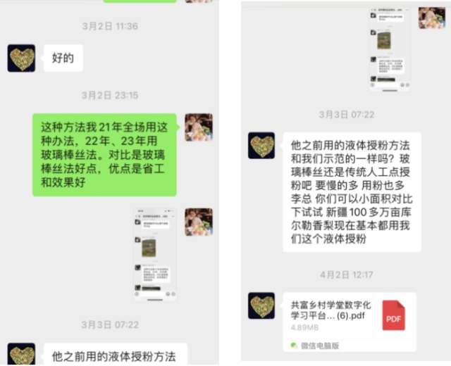 李欣与专家线上交流。