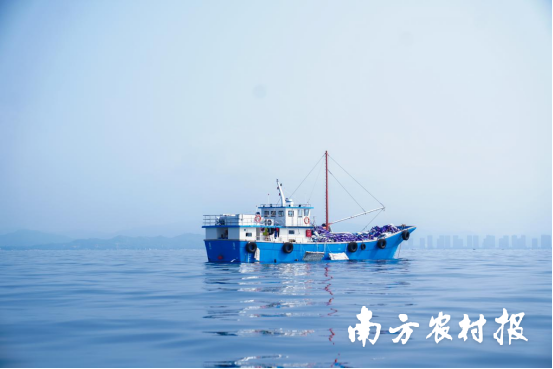 洛克王国武义挑战攻略分享:如何轻松通关?