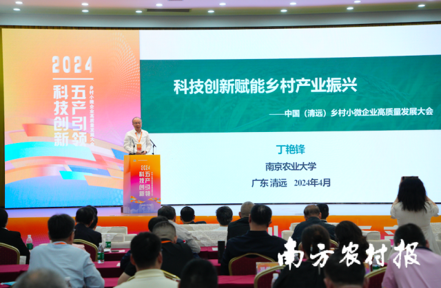 南京农业大学副校长、教授丁艳锋。