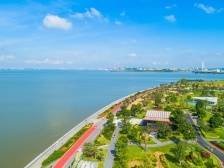 从滨海湾到“黄金内湾”，这所学校扮演什么角色？（中）｜南方观察