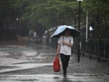 滚动｜江门各地接连发布雷雨大风黄色预警