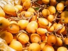 假期逛吃郁南，这份美食攻略请收好丨五一玩乐来郁南①