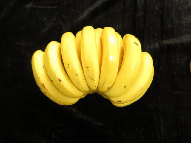 中蕉4号香蕉