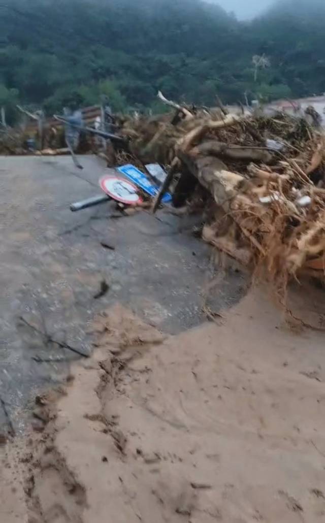 許亞平來到過河的橋上，兩側(cè)圍欄塞滿了沖刷過后的樹枝和碎石,，難以通行,，橋下也掛滿了盤根錯節(jié)的樹根。