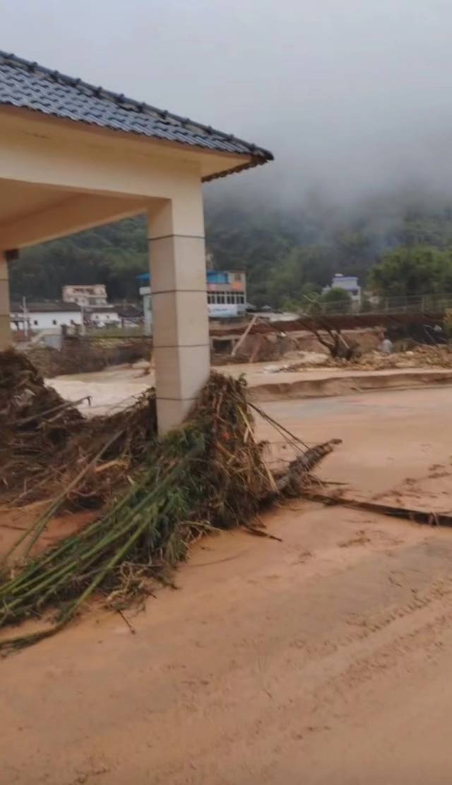 江灣鎮(zhèn)圍坪村內(nèi)道路泥濘不堪，樹木橫七豎八倒一地,。