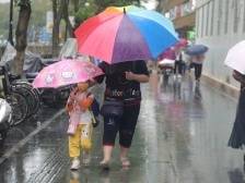 广州多区发布暴雨黄色预警，可延迟上学！