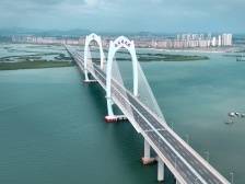 航拍茂名｜水东湾大桥：滨海观景打卡点