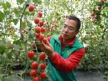 齐心“合荔”，荔湾梅县两地对口帮扶办成了这些事