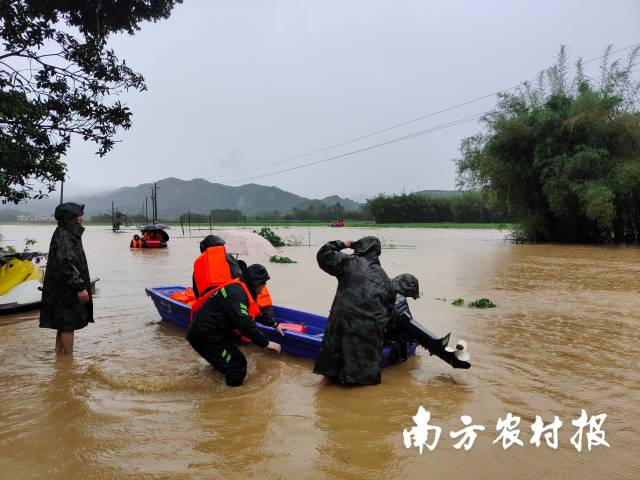4月20日，翁源县官渡镇华东村转移受灾群众，可以清晰看到当地部分农作物被淹至水底。