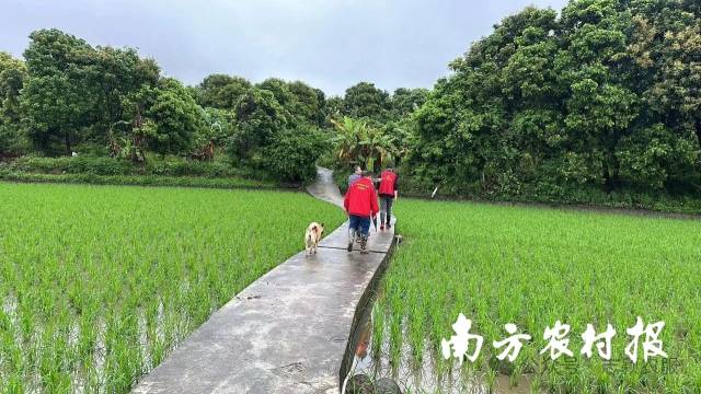 以的安治理安全舌食品聚焦尖上法治全强化